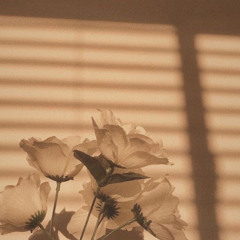 𝕻𝖔𝖎𝖘𝖔𝖓