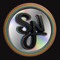 Synesthesia Records
