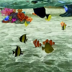 nickelake