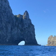 Xavier