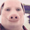 joesak