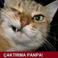 Aslı