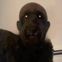 BENNYCOUSINS