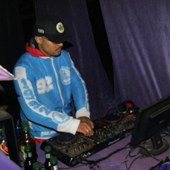 Nyugam psy