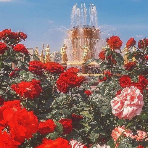 V6 – WAになっておどろう (WA ni Natte Odorou) Lyrics | Genius