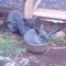 Sacha_78