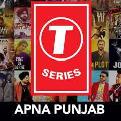 T- serise punjab