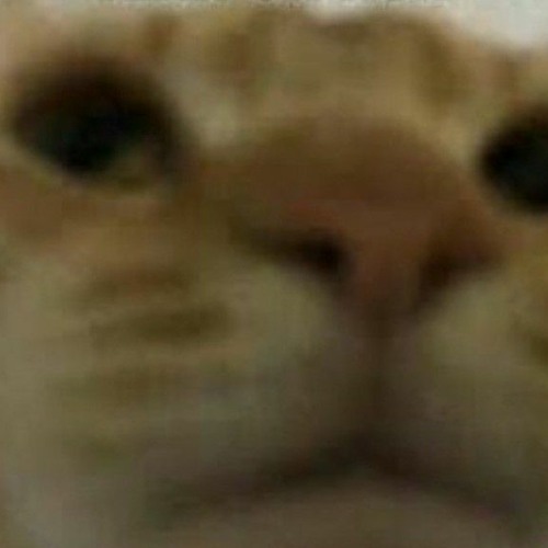 Kizumonogatari II Ost Sheer Force [Extended]