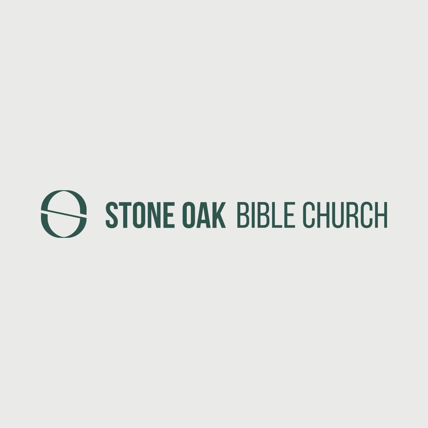 Stone Oak Bible
