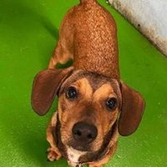 Kerrie Kipper Carter