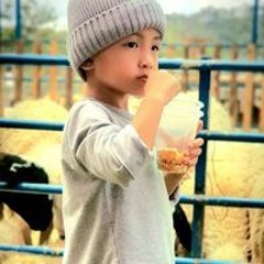 Dzỏm
