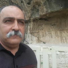 shahram homaee 4