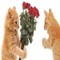 pawlive