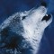 THE LONE WOLF