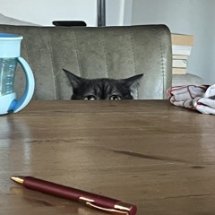 officialmothertheresa