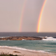 CREATURE_PRODUCTIONS