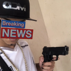 VM MARTINS