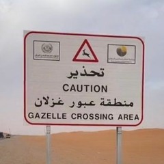 ّ