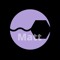 Matt