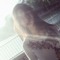 dreamlurk