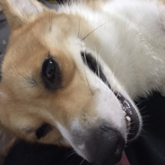 Maria Clarissa Carlos