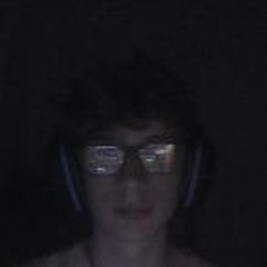 Vruitzaled