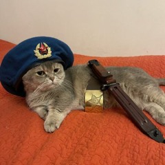 Cheezcake