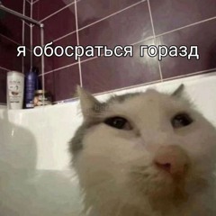 KotVKustah