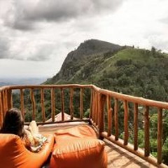 Camellia Tan Daswani