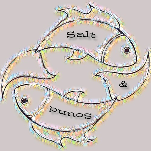 saltandsound rec’s avatar