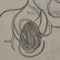 with