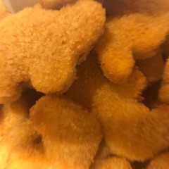 DINO NUGZZ