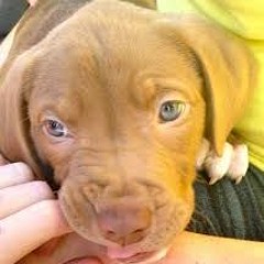 Jake/X/_/X/.