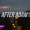 AfterAdam