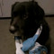 Cusey_