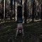 Movement