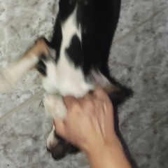 tefy love