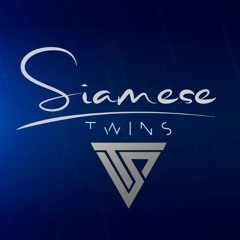Siamese Twins