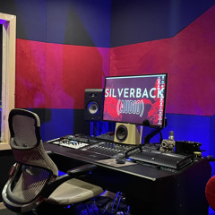 SilverbackAudio