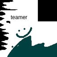 Teamer