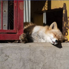 Kim Thiên Nguyễn Ngọc