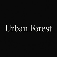 Urban Forest - Moon Rhythm Soundscape