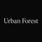 Urban Forest - Moon Rhythm Soundscape