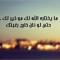 Sayed Shaaban