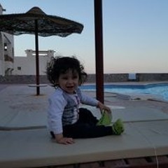 Samar Elhelaly