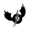JilloBird