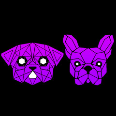 Pug & Frenchie