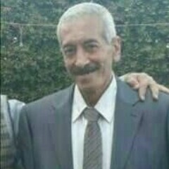 Rana Gamal El-Dien