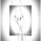 Code_Ah