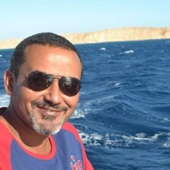 Mohamed Hisham